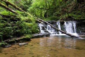 Eine überwältigende Urlandschaft mit romantischen Wasserfällen und urwüchsigen Wäldern erlebt man auf dem "Genießerpfad Gauchachschlucht". Foto: djd/Rad- und WanderParadies Schwarzwald und Alb