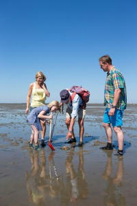 Eine Wattwanderung gehört im Dornumerland fast schon zum Pflichtprogramm. Foto: djd/Tourismus GmbH Gemeinde Dornum